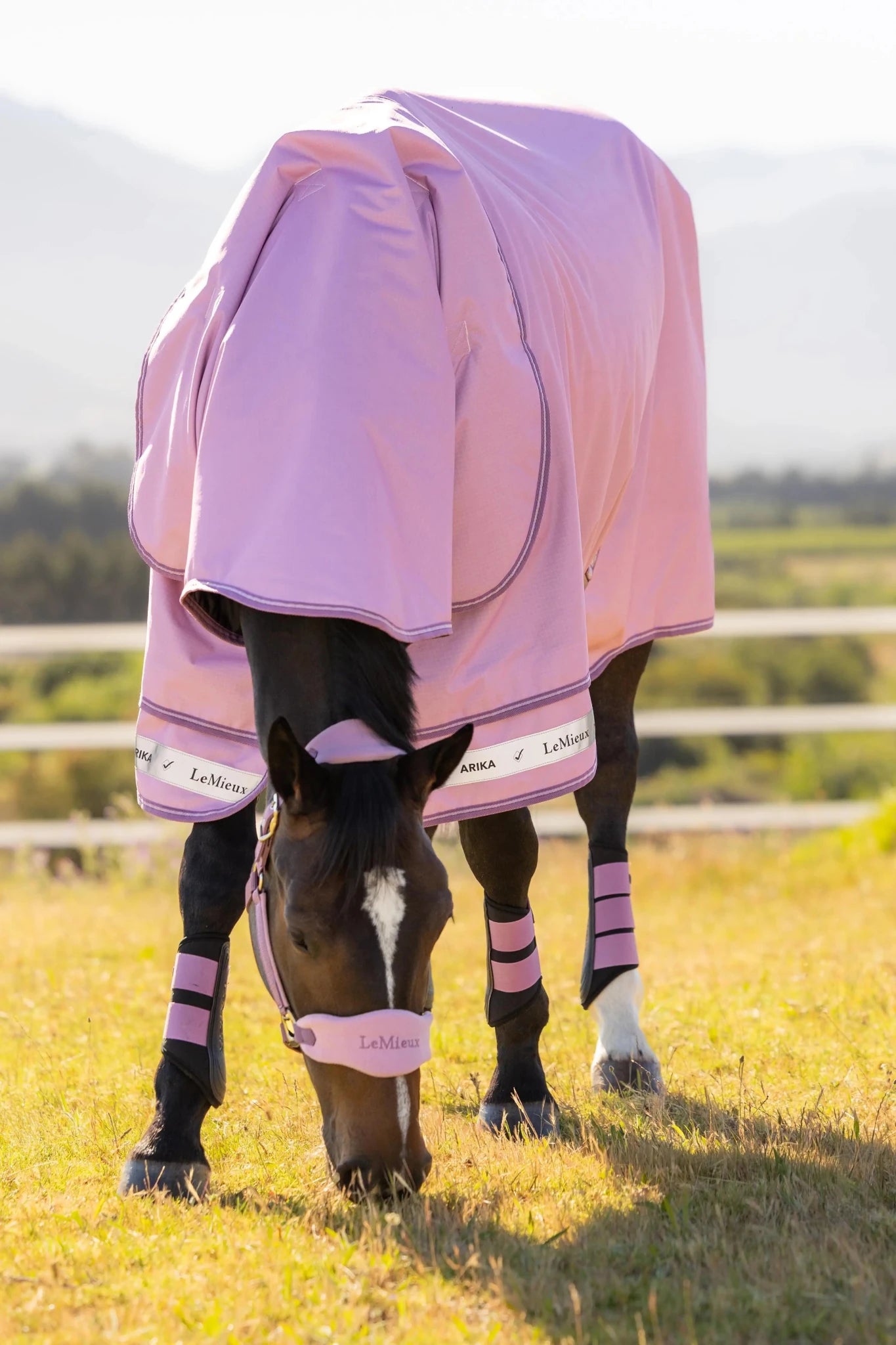 LeMieux Arika Ripstop Turnoutdeken Outdoordeken - Maddelin Equestrian LeMieux