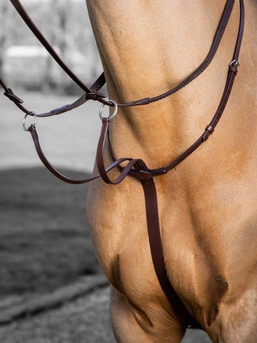 LeMieux Arika Running Martingaal Borstriemen en martingalen - Maddelin Equestrian LeMieux