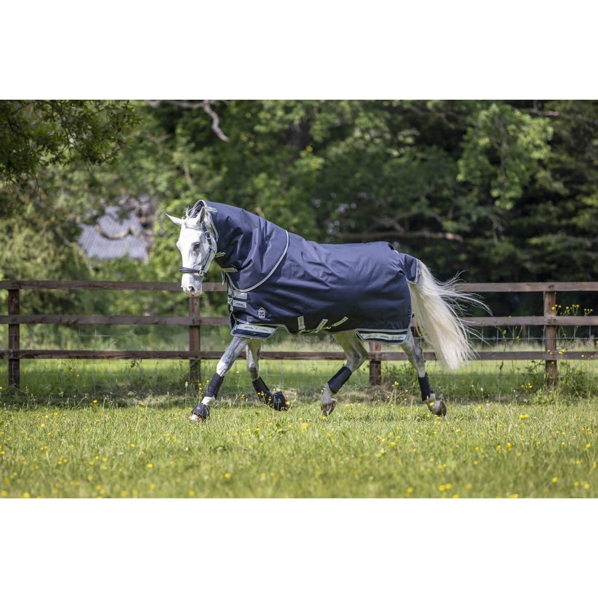 LeMieux Arika Storm - Tek Outdoordeken Outdoordeken - Maddelin Equestrian LeMieux