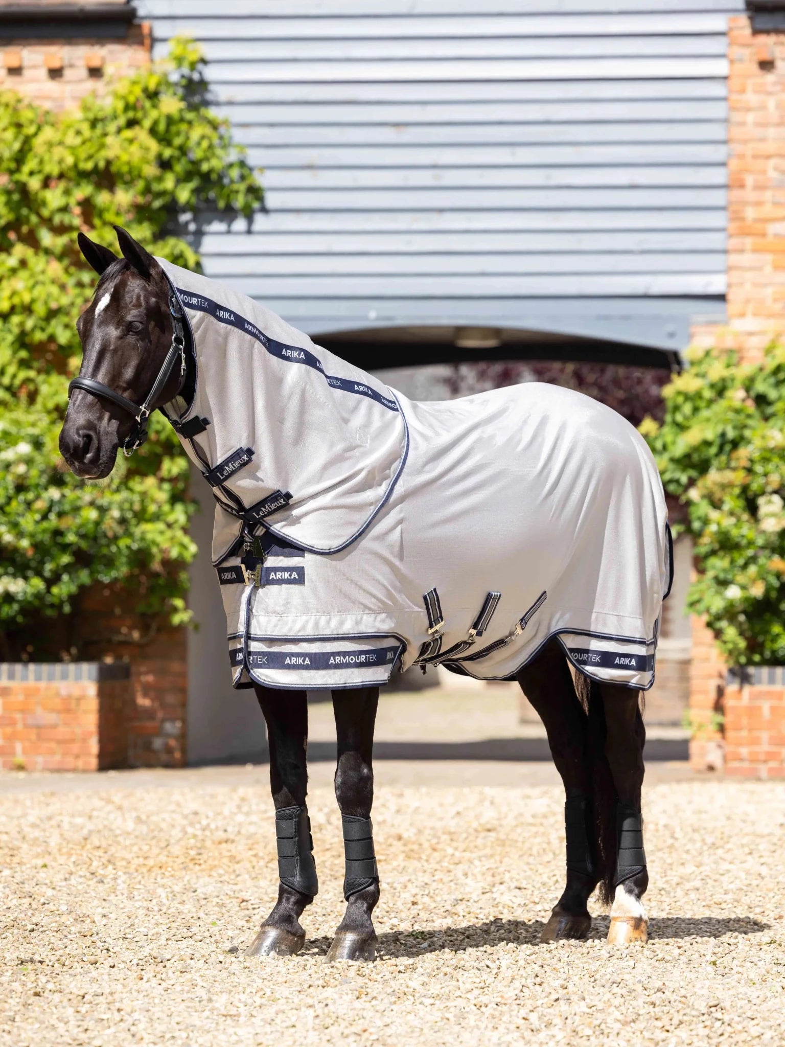 LeMieux Armour - Tek Vliegendeken Vliegendekens - Maddelin Equestrian LeMieux