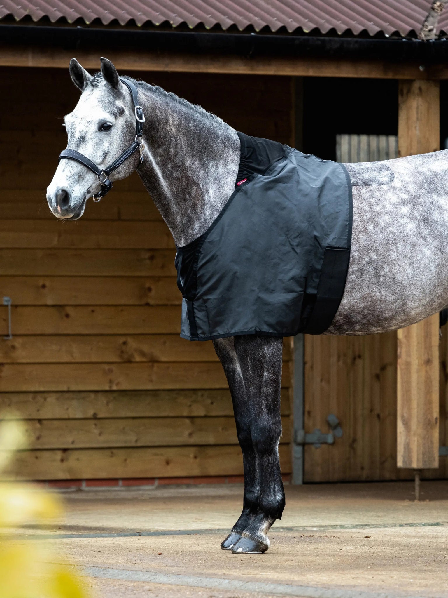 LeMieux Borstbeschermer Toebehoren - Maddelin Equestrian LeMieux