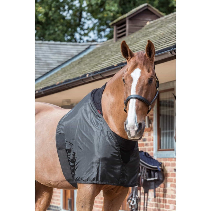 LeMieux Borstbeschermer Toebehoren - Maddelin Equestrian LeMieux