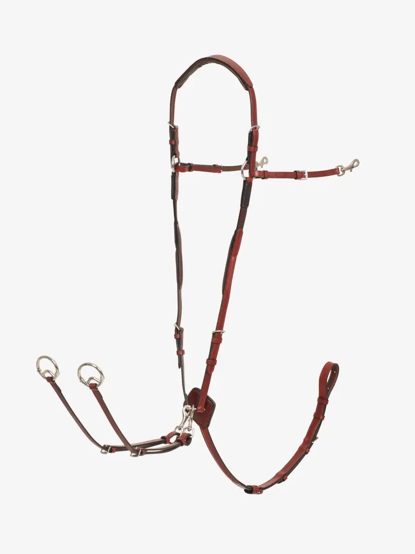 LeMieux Borsttuig (D - Ring Attachment) Borstriemen en martingalen - Maddelin Equestrian LeMieux