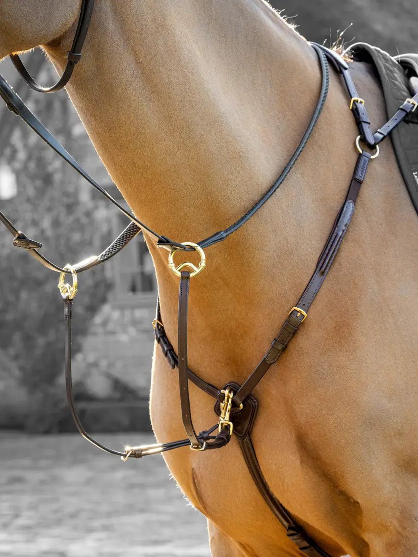 LeMieux Borsttuig (D - Ring Attachment) Borstriemen en martingalen - Maddelin Equestrian LeMieux