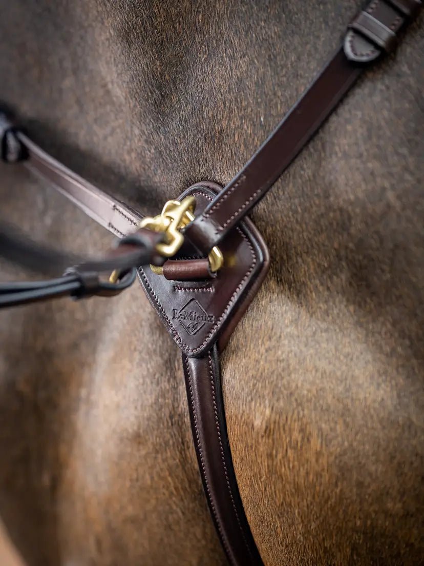 LeMieux Borsttuig (D - Ring Attachment) Borstriemen en martingalen - Maddelin Equestrian LeMieux