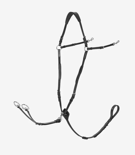 LeMieux Borsttuig (D - Ring Attachment) Borstriemen en martingalen - Maddelin Equestrian LeMieux