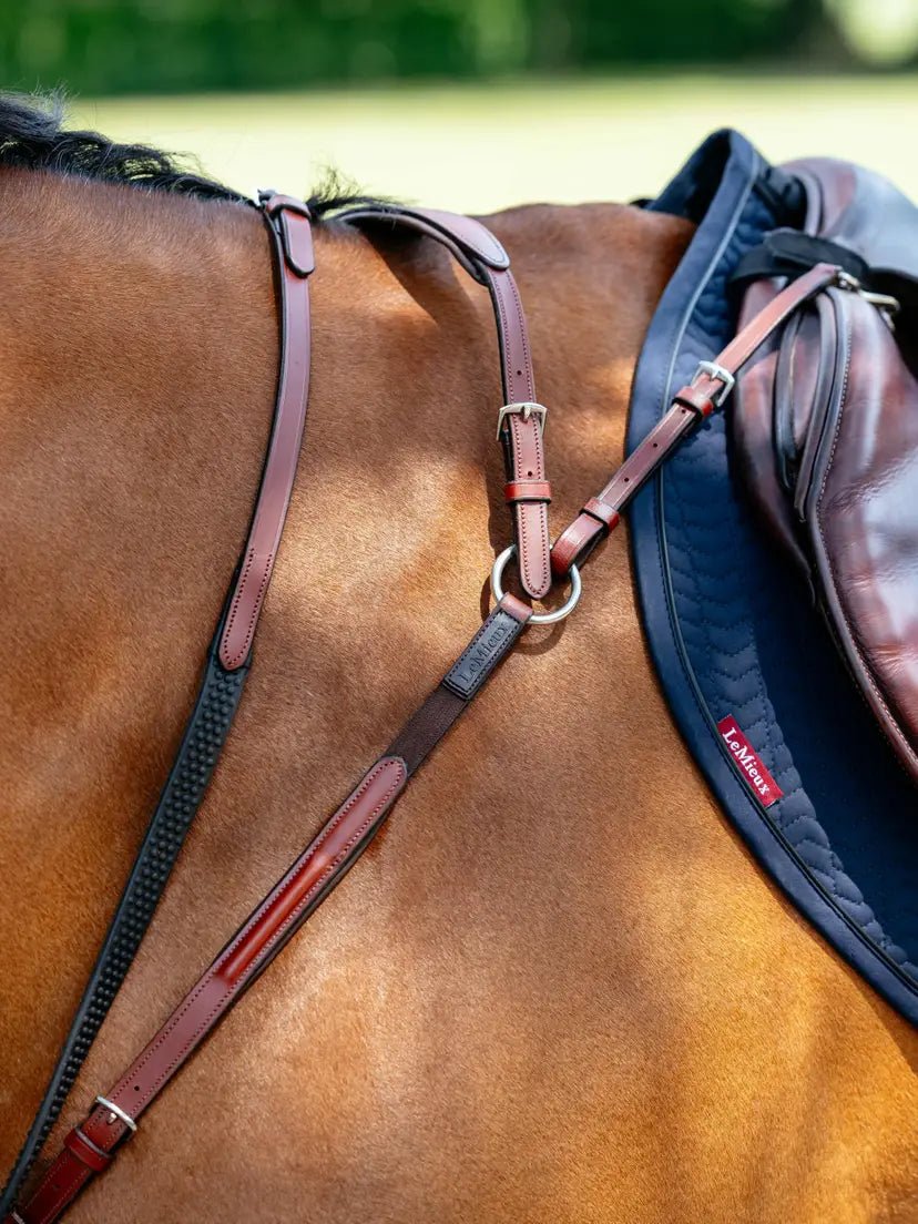 LeMieux Borsttuig (D - Ring Attachment) Borstriemen en martingalen - Maddelin Equestrian LeMieux