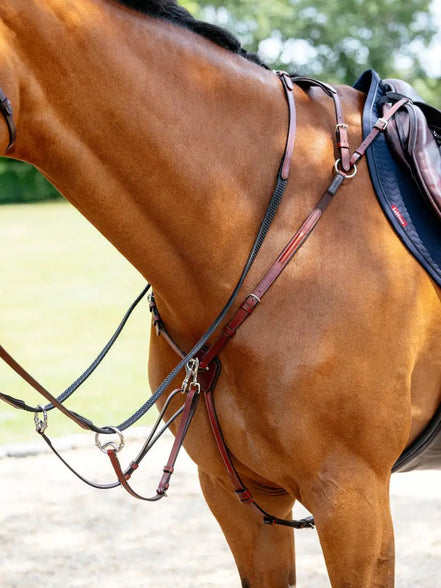 LeMieux Borsttuig (D - Ring Attachment) Borstriemen en martingalen - Maddelin Equestrian LeMieux