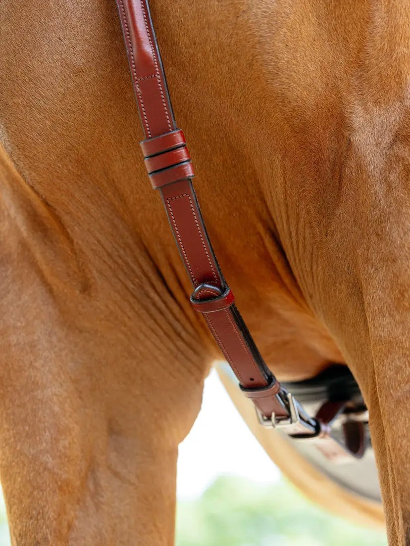 LeMieux Borsttuig (D - Ring Attachment) Borstriemen en martingalen - Maddelin Equestrian LeMieux