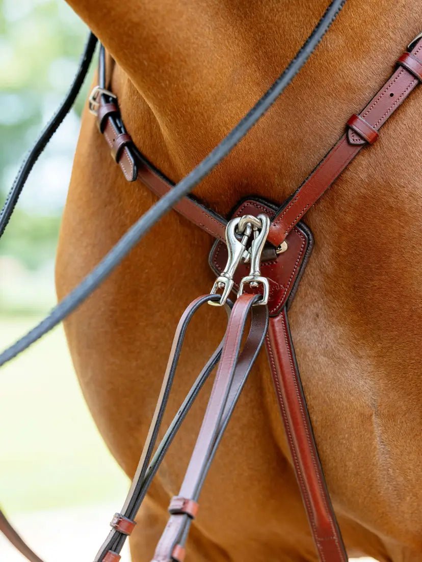 LeMieux Borsttuig (D - Ring Attachment) Borstriemen en martingalen - Maddelin Equestrian LeMieux