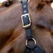 LeMieux Breakaway Vogue Halster – detailfoto 4