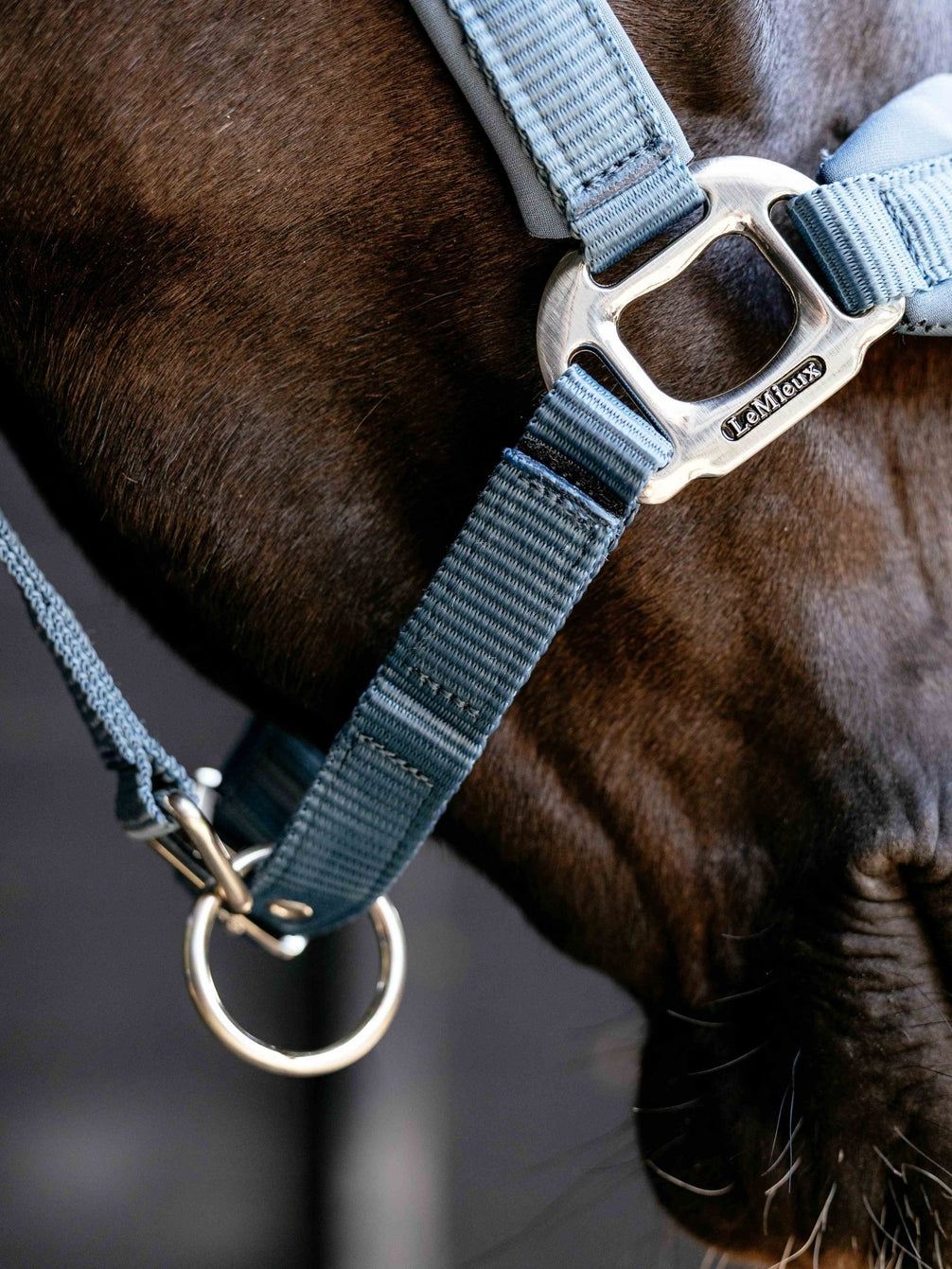 LeMieux Breakaway Vogue Halster – detailfoto 7