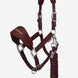 LeMieux Breakaway Vogue Halster met Halstertouw AW26 Nylon halsters - Maddelin Equestrian