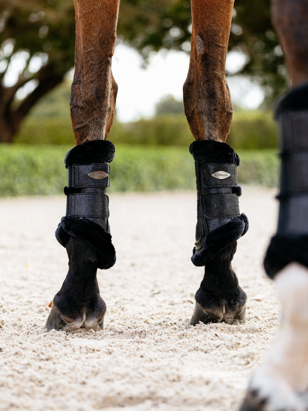 LeMieux Brilliance Fleece Edged Brushing Boot Beenbeschermers - Maddelin Equestrian LeMieux