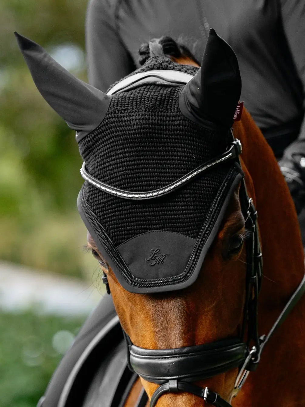 LeMieux Brilliance Oornetje Oornetjes - Maddelin Equestrian LeMieux