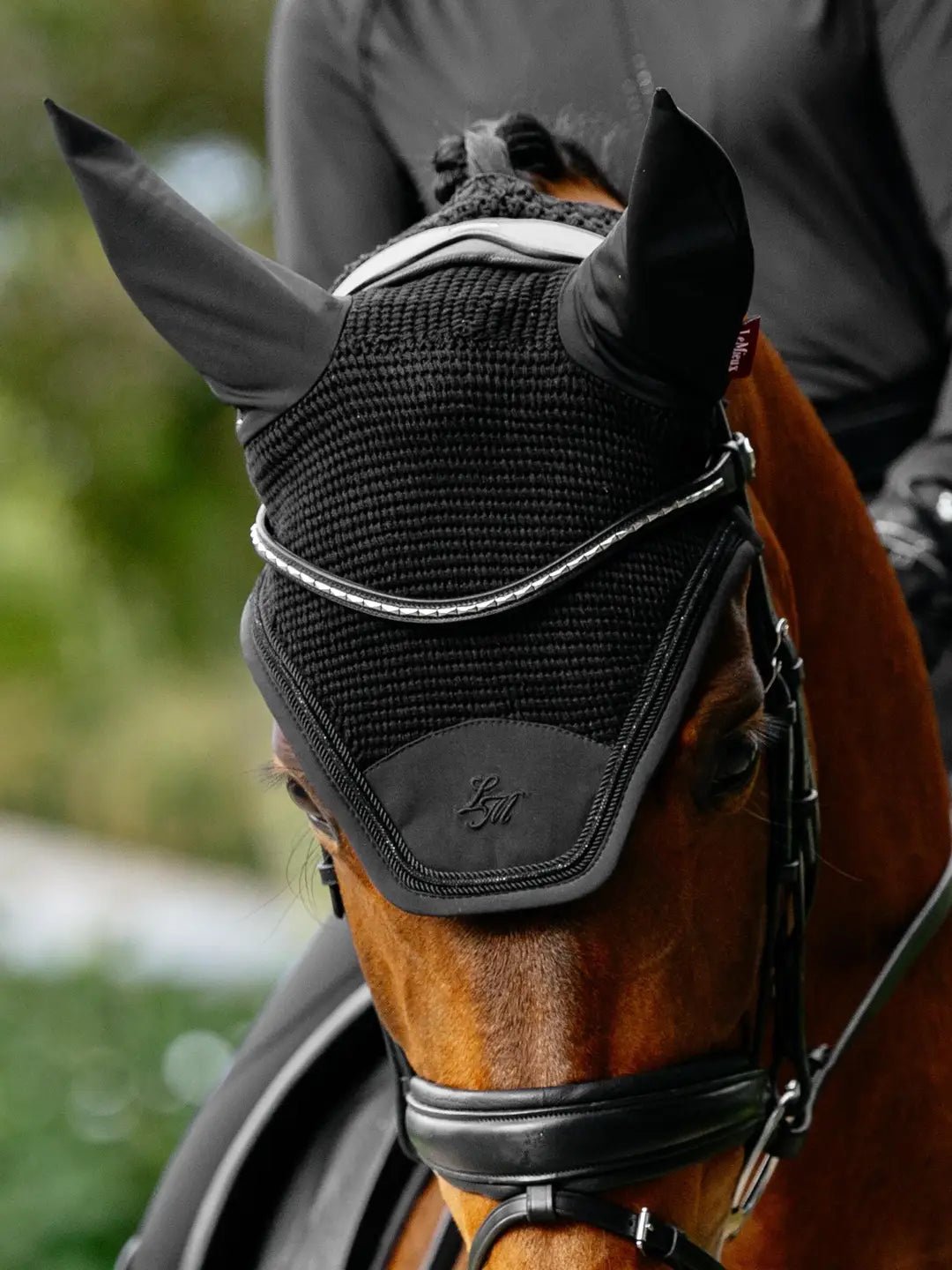 LeMieux Brilliance Oornetje Oornetjes - Maddelin Equestrian LeMieux