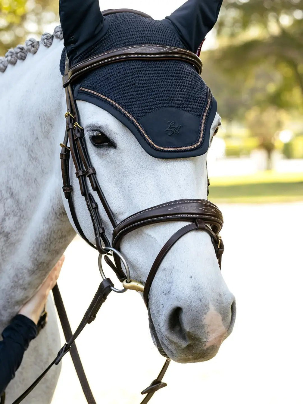 LeMieux Brilliance Oornetje Oornetjes - Maddelin Equestrian LeMieux