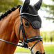 LeMieux Brilliance Oornetje Oornetjes - Maddelin Equestrian LeMieux
