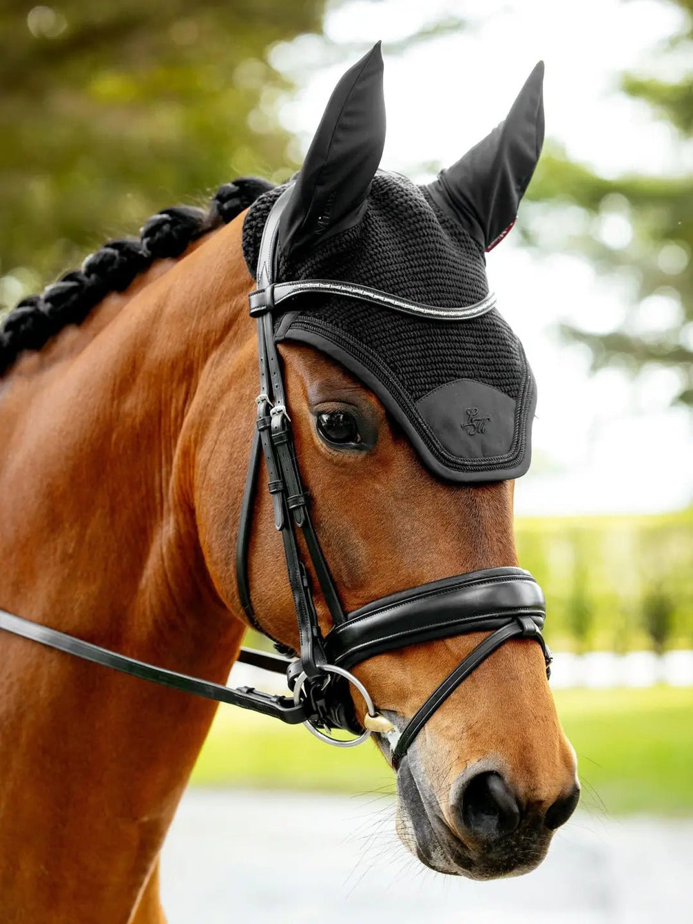 LeMieux Brilliance Oornetje Oornetjes - Maddelin Equestrian LeMieux