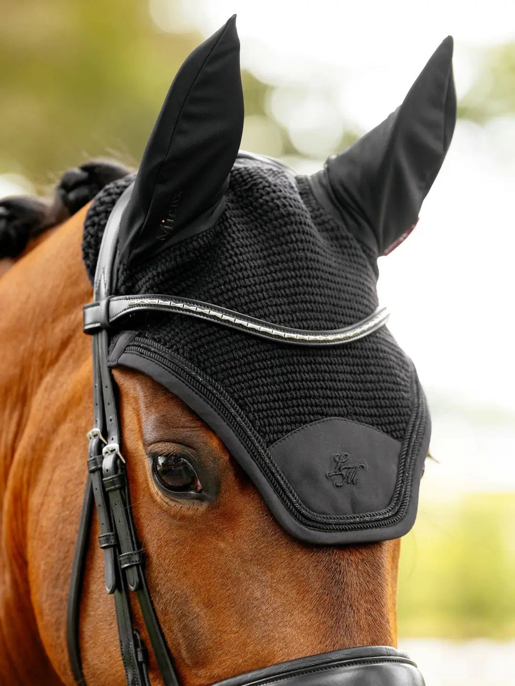 LeMieux Brilliance Oornetje Oornetjes - Maddelin Equestrian LeMieux