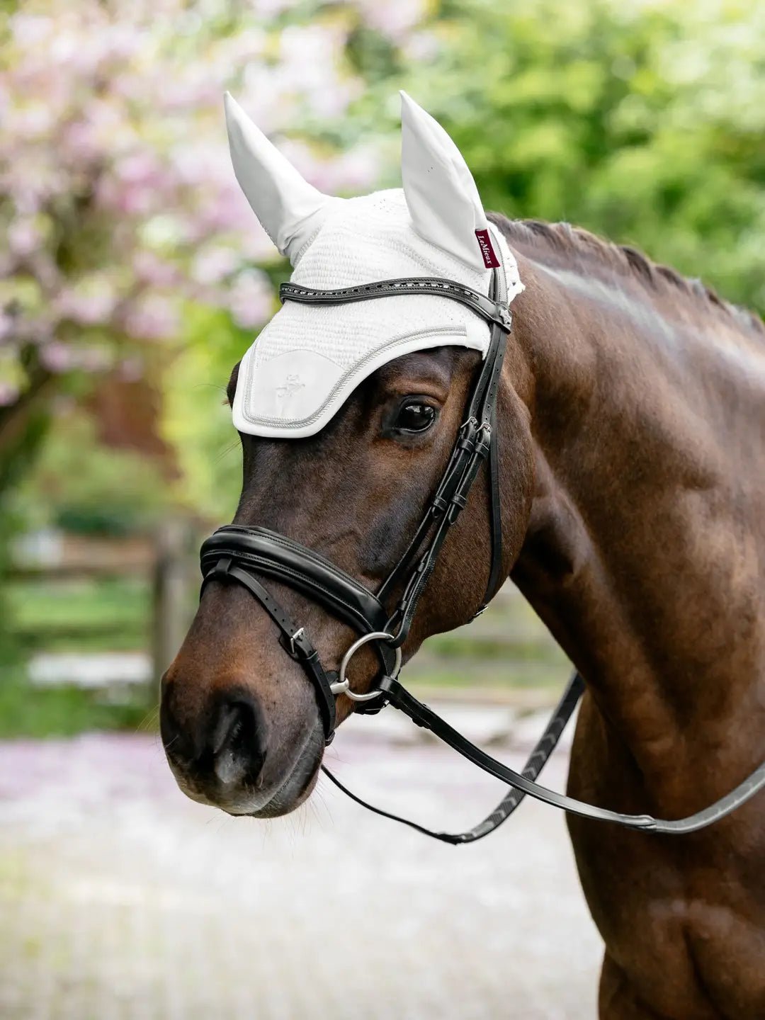 LeMieux Brilliance Oornetje Oornetjes - Maddelin Equestrian LeMieux