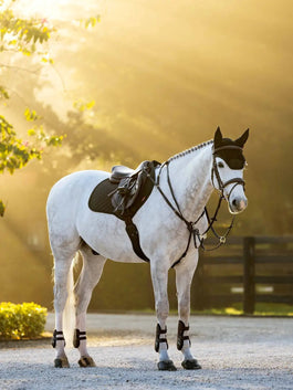 LeMieux Brilliance Zadeldek Zadeldoeken - Maddelin Equestrian LeMieux