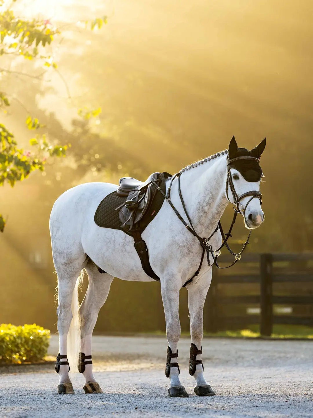 LeMieux Brilliance Zadeldek Zadeldoeken - Maddelin Equestrian LeMieux