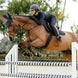 LeMieux Brilliance Zadeldek Zadeldoeken - Maddelin Equestrian LeMieux