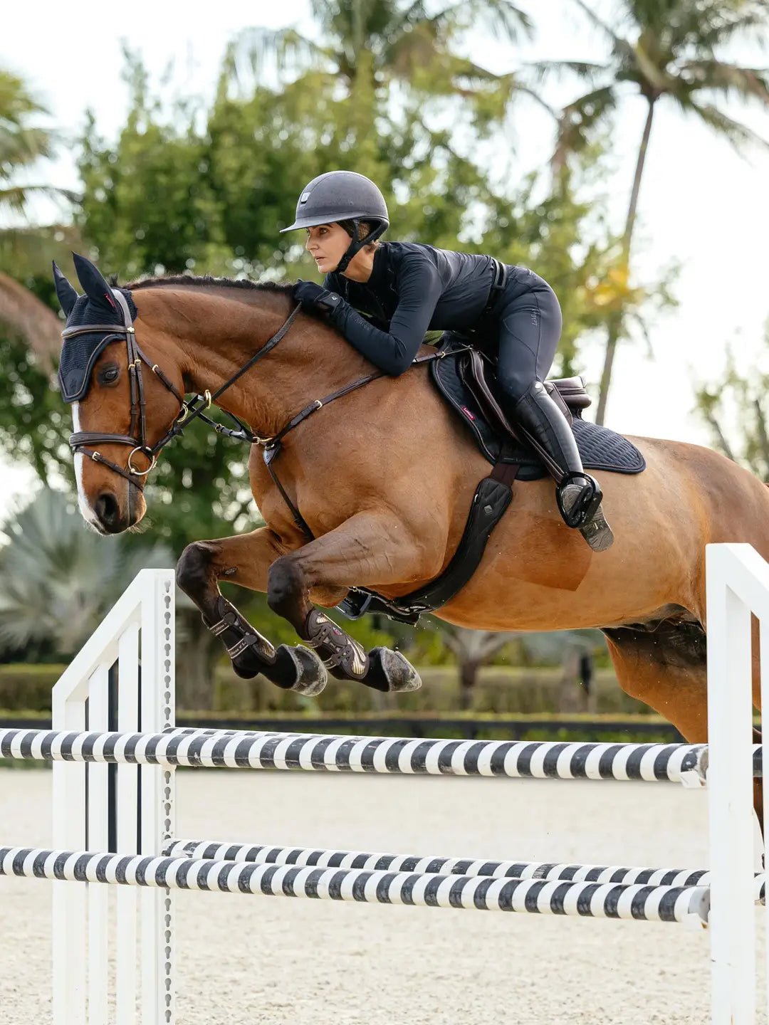 LeMieux Brilliance Zadeldek Zadeldoeken - Maddelin Equestrian LeMieux