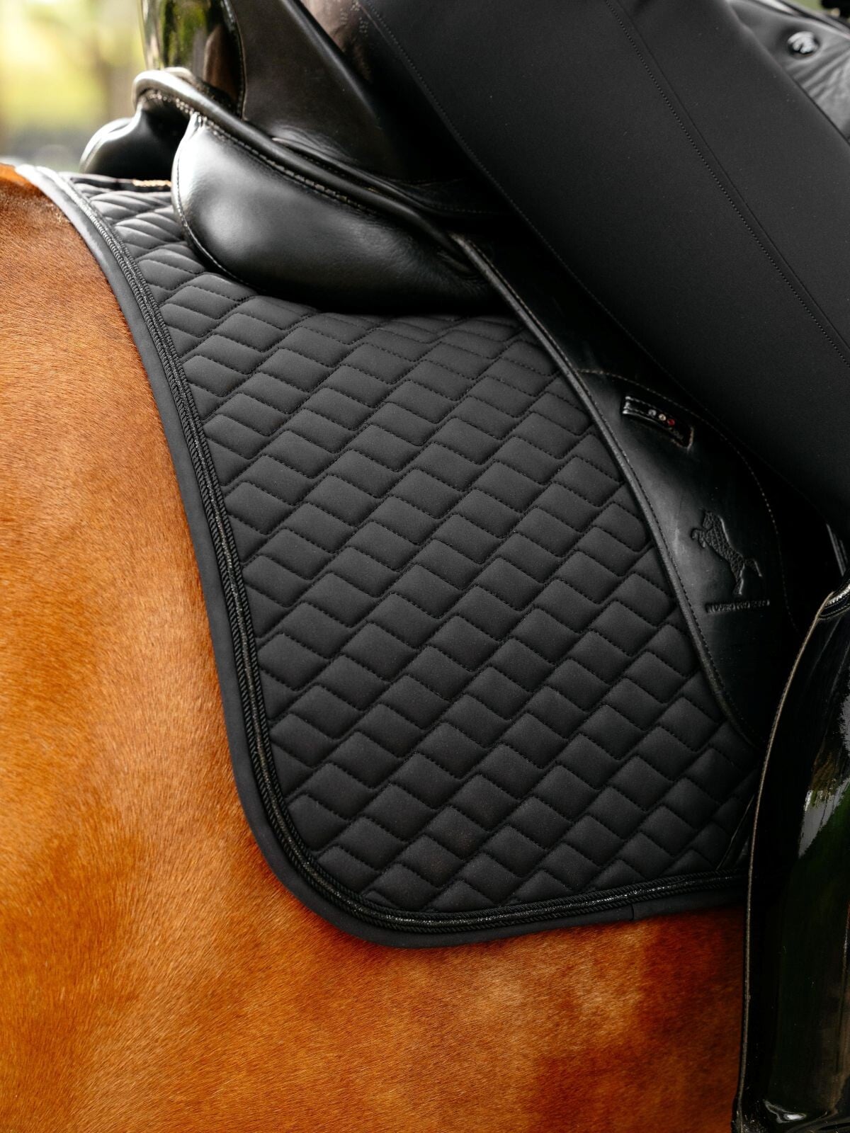 LeMieux Brilliance Zadeldek Zadeldoeken - Maddelin Equestrian LeMieux