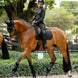 LeMieux Brilliance Zadeldek Zadeldoeken - Maddelin Equestrian LeMieux