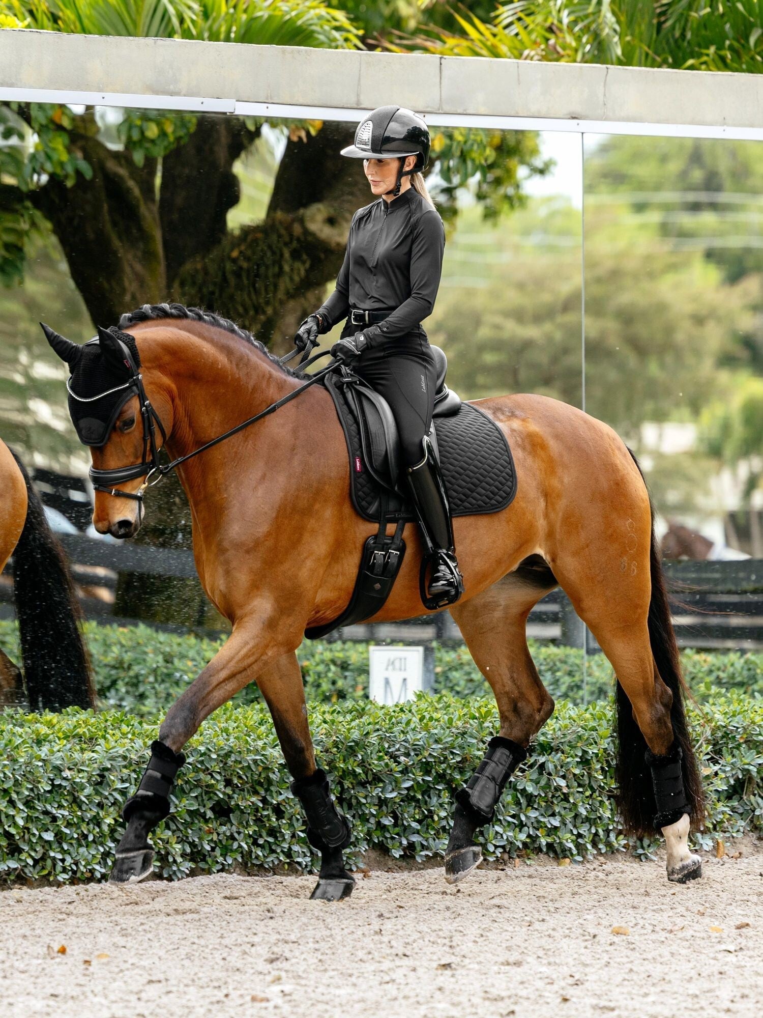 LeMieux Brilliance Zadeldek Zadeldoeken - Maddelin Equestrian LeMieux