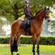 LeMieux Brilliance Zadeldek Zadeldoeken - Maddelin Equestrian LeMieux