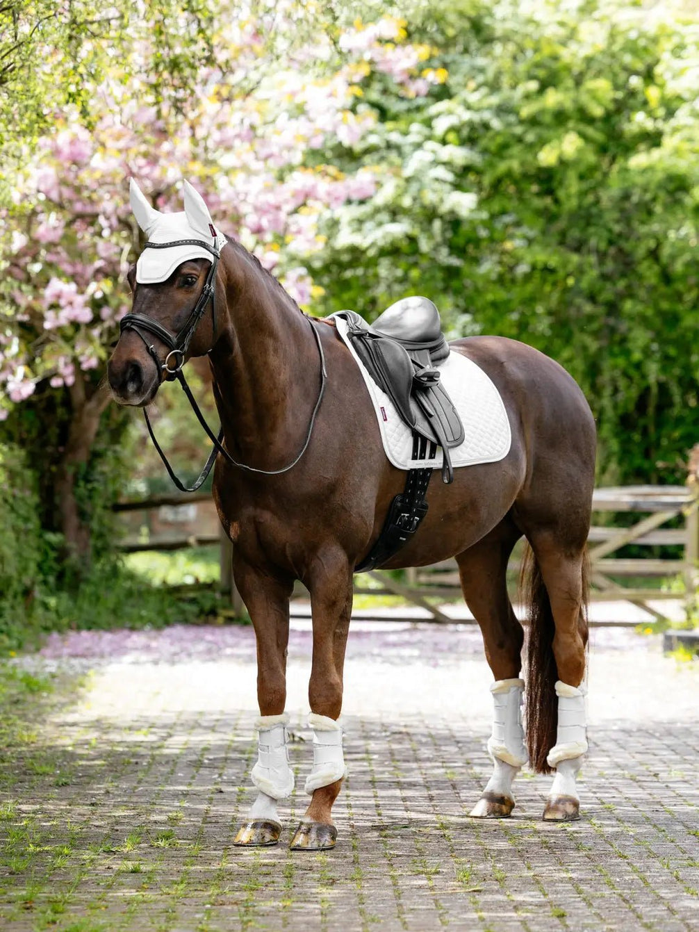 LeMieux Brilliance Zadeldek Zadeldoeken - Maddelin Equestrian LeMieux