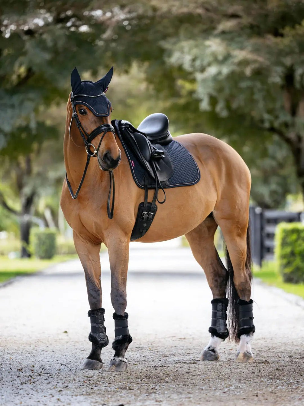 LeMieux Brilliance Zadeldek Zadeldoeken - Maddelin Equestrian LeMieux