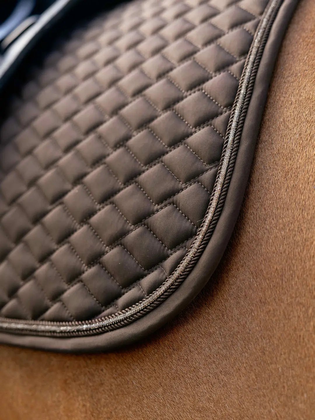 LeMieux Brilliance Zadeldek Zadeldoeken - Maddelin Equestrian LeMieux