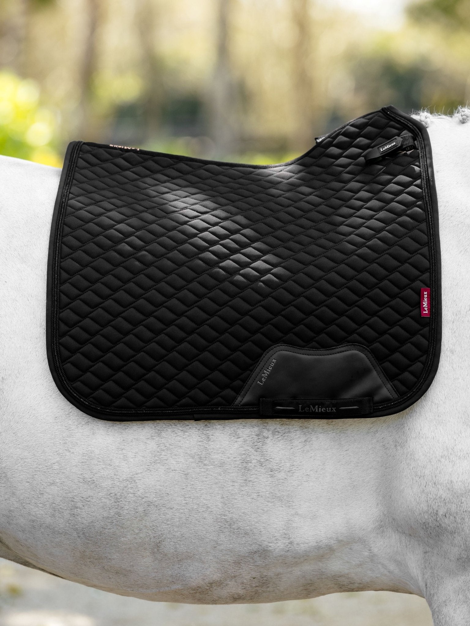 LeMieux Brilliance Zadeldek Zadeldoeken - Maddelin Equestrian LeMieux