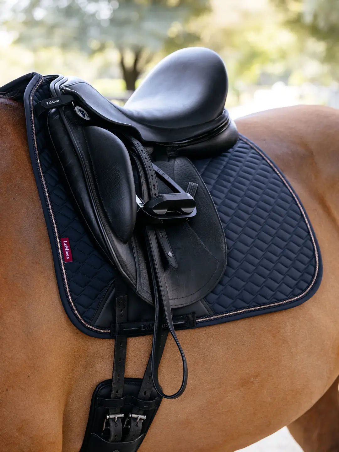 LeMieux Brilliance Zadeldek Zadeldoeken - Maddelin Equestrian LeMieux