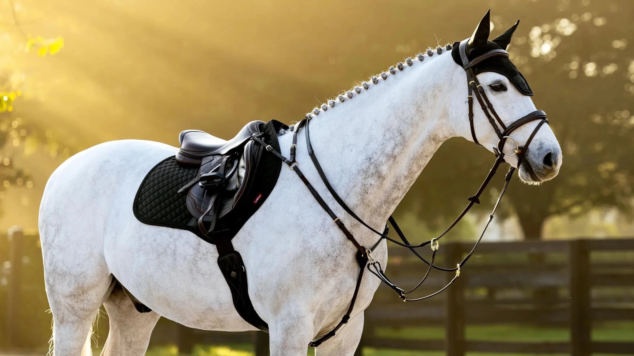 LeMieux Brilliance Zadeldek Zadeldoeken - Maddelin Equestrian LeMieux