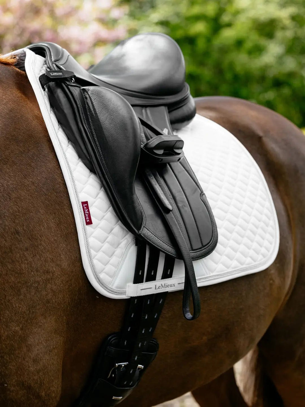LeMieux Brilliance Zadeldek Zadeldoeken - Maddelin Equestrian LeMieux