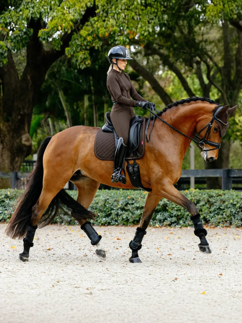 LeMieux Brilliance Zadeldek Zadeldoeken - Maddelin Equestrian LeMieux