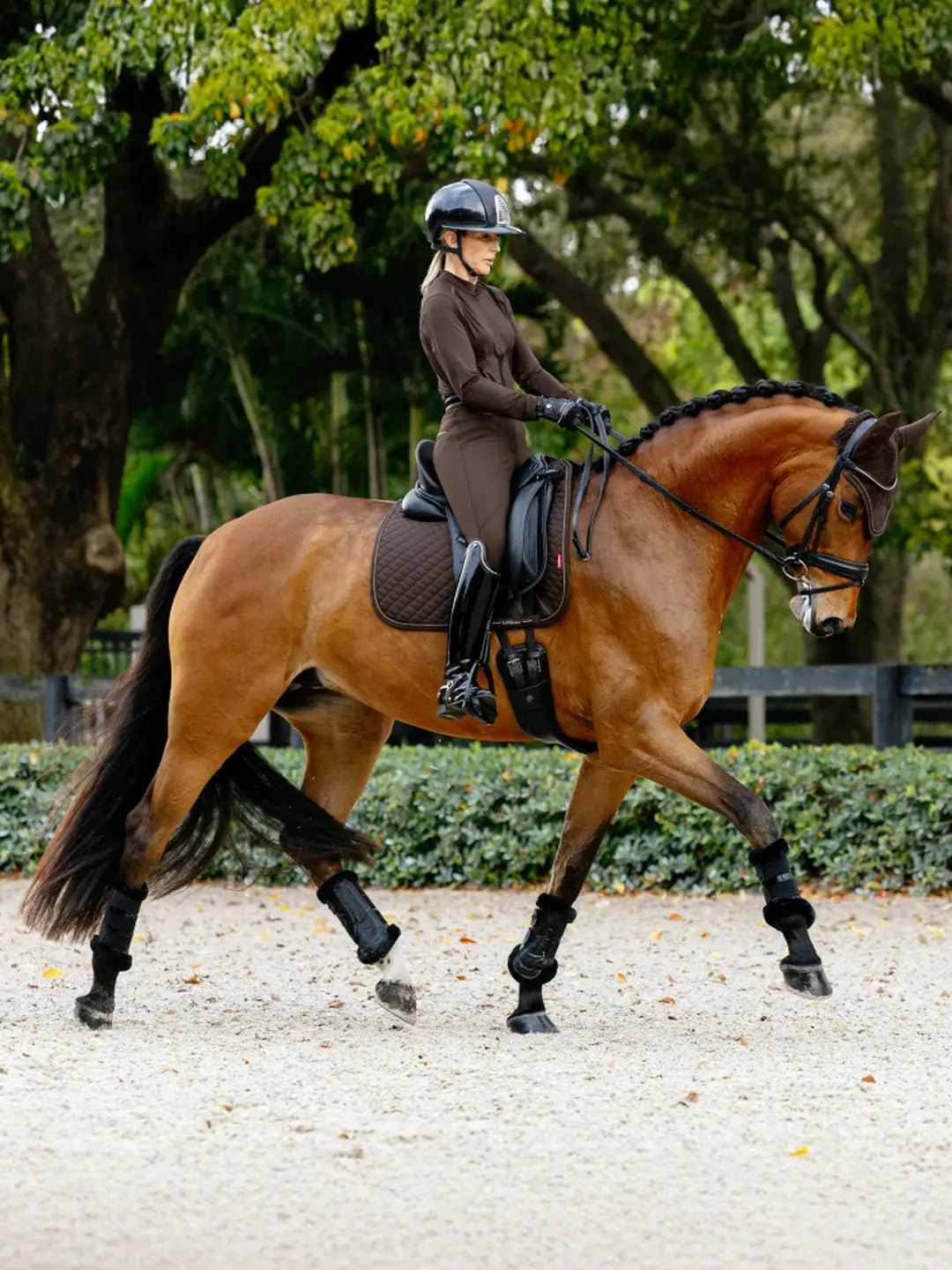 LeMieux Brilliance Zadeldek Zadeldoeken - Maddelin Equestrian LeMieux