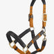 LeMieux Capella Halster FW24 Lederen - Maddelin Equestrian LeMieux