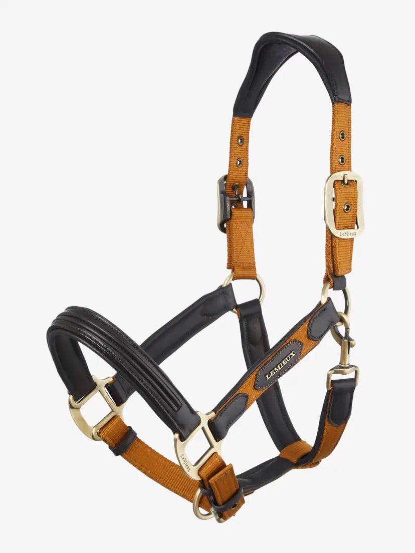 LeMieux Capella Halster FW24 Lederen - Maddelin Equestrian LeMieux