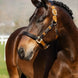 LeMieux Capella Halster FW24 Lederen - Maddelin Equestrian LeMieux