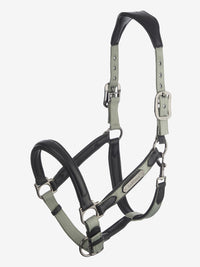 LeMieux Capella Halster Leder Nylon halsters - Maddelin Equestrian LeMieux