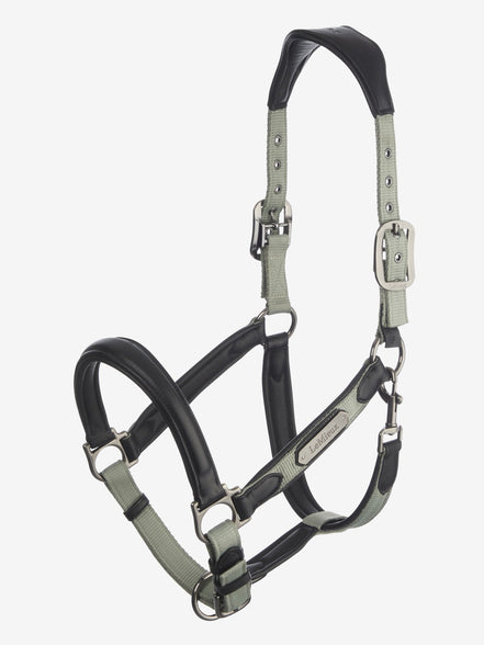 LeMieux Capella Halster Leder Nylon halsters - Maddelin Equestrian LeMieux