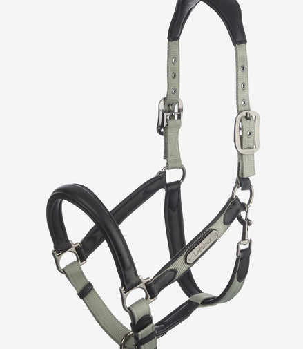 LeMieux Capella Halster Leder Nylon halsters - Maddelin Equestrian LeMieux