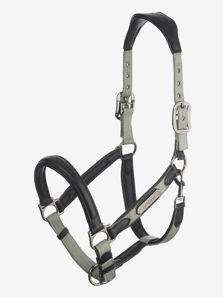 LeMieux Capella Halster Leder Nylon halsters - Maddelin Equestrian LeMieux