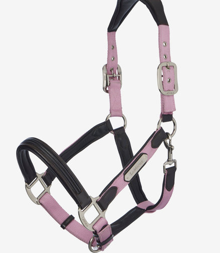 LeMieux Capella Halster Lederen - Maddelin Equestrian LeMieux